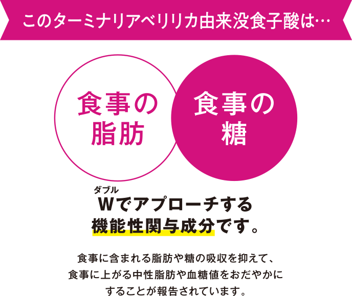 このターミナリアベリリカ由来没食子酸は・・・Wでアプローチする機能性関与成分です。