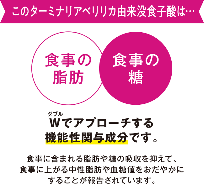 このターミナリアベリリカ由来没食子酸は・・・Wでアプローチする機能性関与成分です。