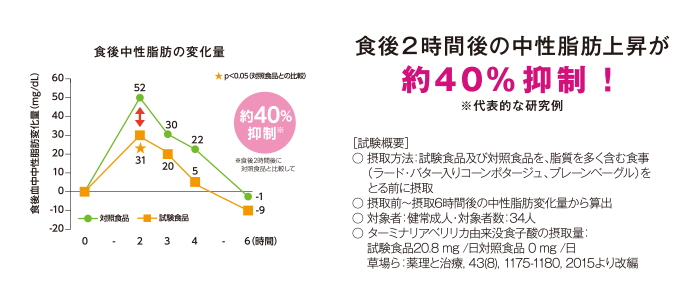 食後2時間後の中性脂肪上昇が約40%抑制！