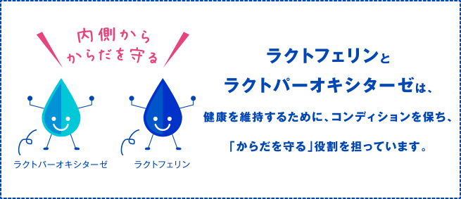 ラクトフェリンとラクトパーオキシターゼは、健康を維持するために、コンディションを保ち、「からだを守る」役割を担っています。