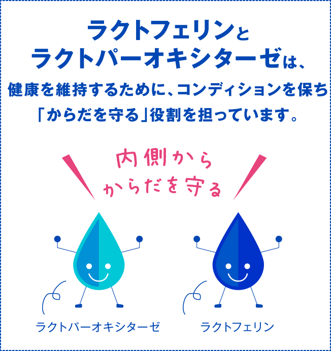 ラクトフェリンとラクトパーオキシターゼは、健康を維持するために、コンディションを保ち、「からだを守る」役割を担っています。