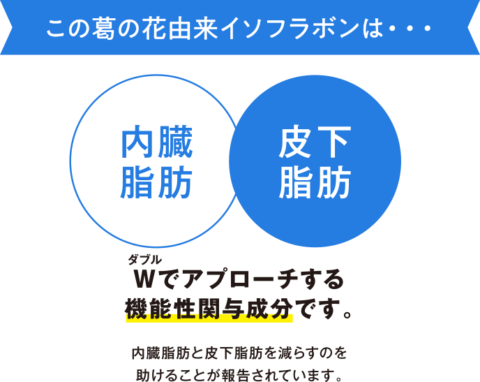 この葛の花由来イソフラボンは・・・Wでアプローチする機能性関与成分です。