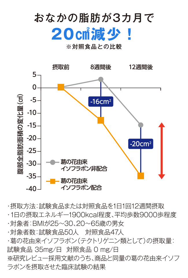 おなかの脂肪が3ヶ月で20㎠減少！