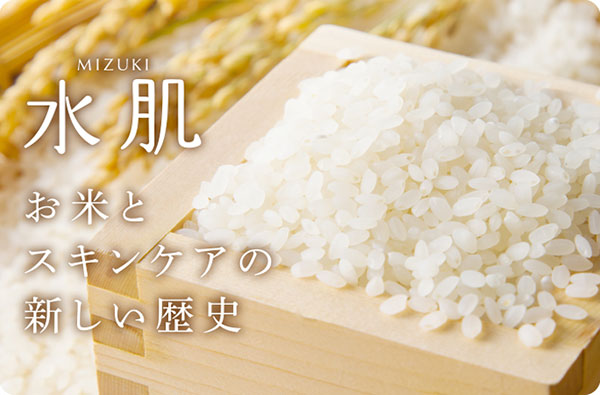 Pillbox Japan ピルボックスジャパン 公式サイト Pillbox Japan ピルボックスジャパン 公式サイト